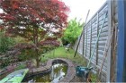 Back garden with pond