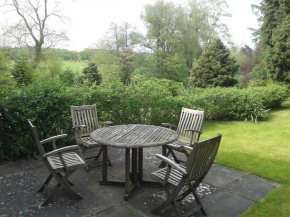 patio area and garden