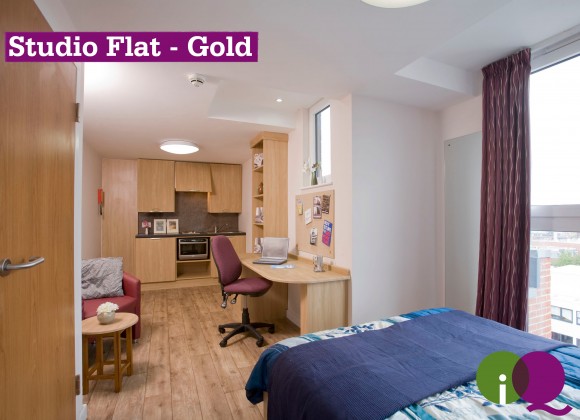 Studio Flat Gold
