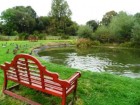 duck pond