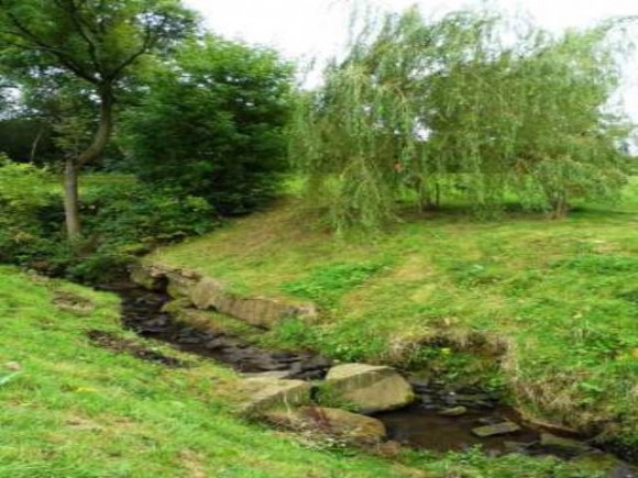 stream