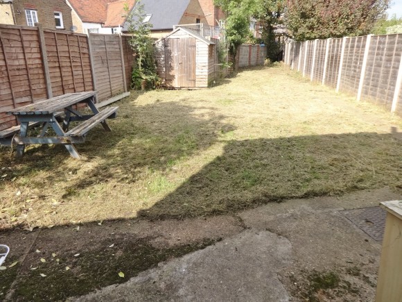garden