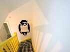 8 Fitzroy - Monkey.jpg