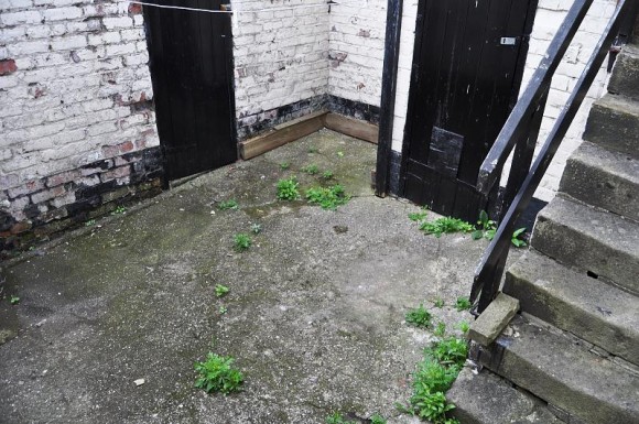 Rear Yard