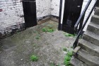Rear Yard