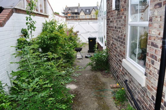 yard1
