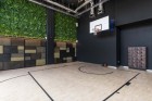 Basketball Halfcourt