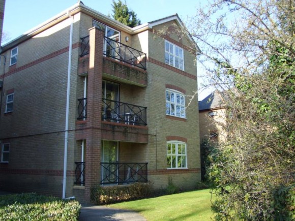 Main Image