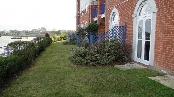 External