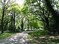 southampton common