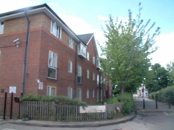 Main Image