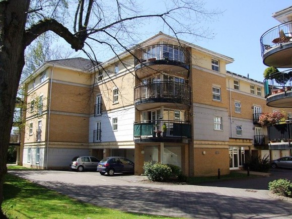 FRONT SHOT (Main)
