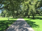 SOUTHAMPTON COMMON