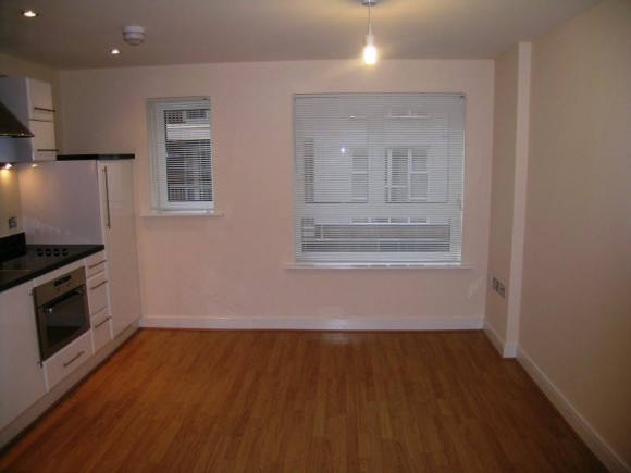 Kitchen/living area