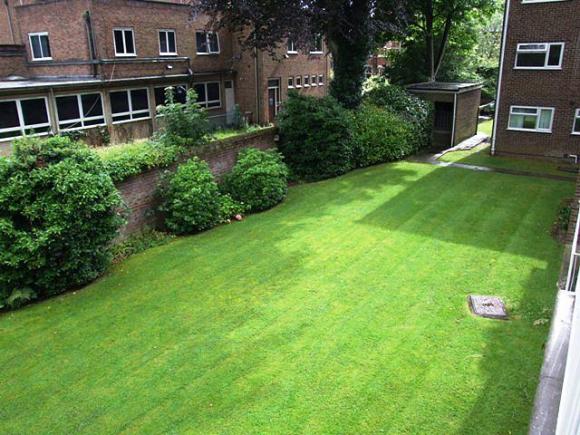 COMUNNAL GROUNDS