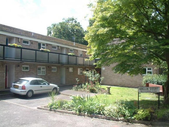 main image (Main)