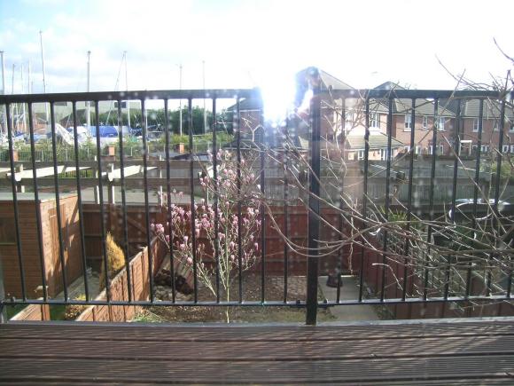 Balcony view