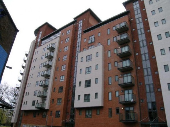 Main Image