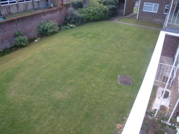 Balcony view