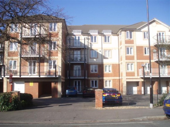 Main Image
