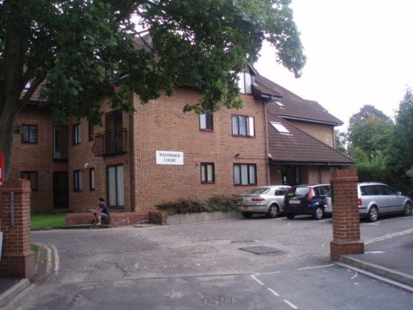 Main Image