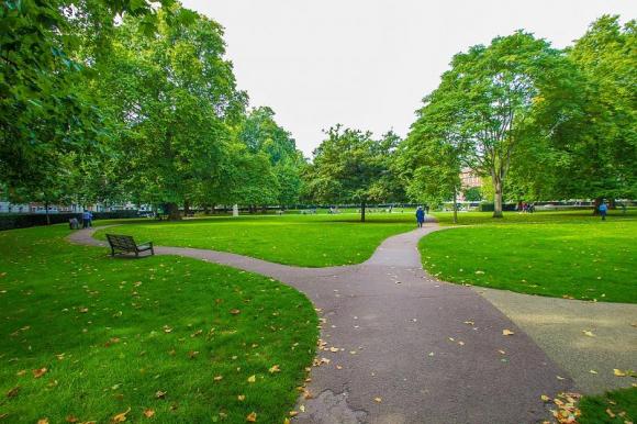 communal gardens