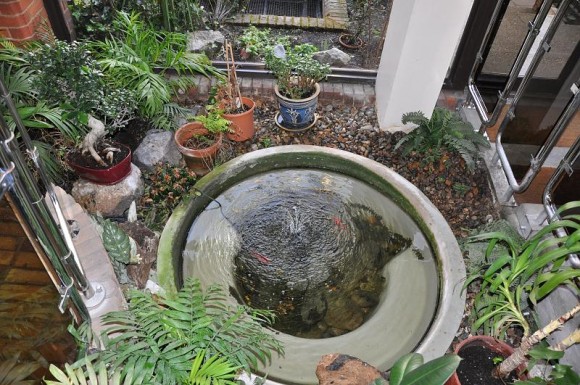 pond