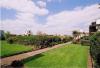 roof garden