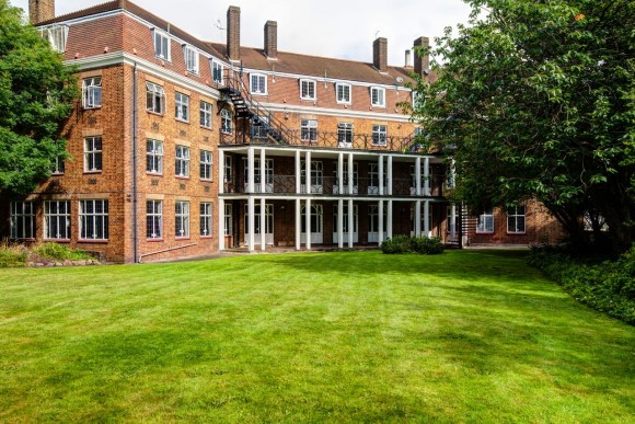 Garden / Exterior