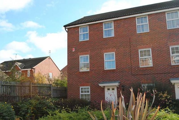 3WREN FRONT (Main)