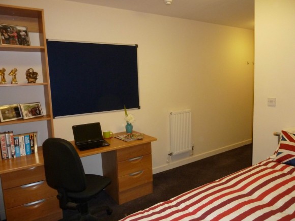 This is a photo of the show flat. All apartments have slight variations